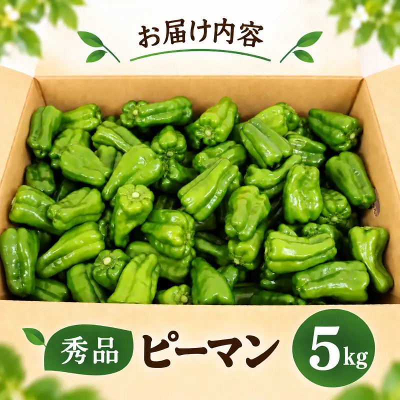 ピーマン 5kg 秀品 野菜 ぴーまん