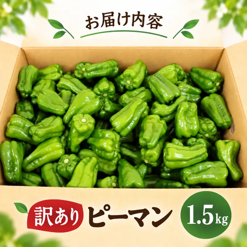 ピーマン 1.5kg 訳あり 野菜 ぴーまん