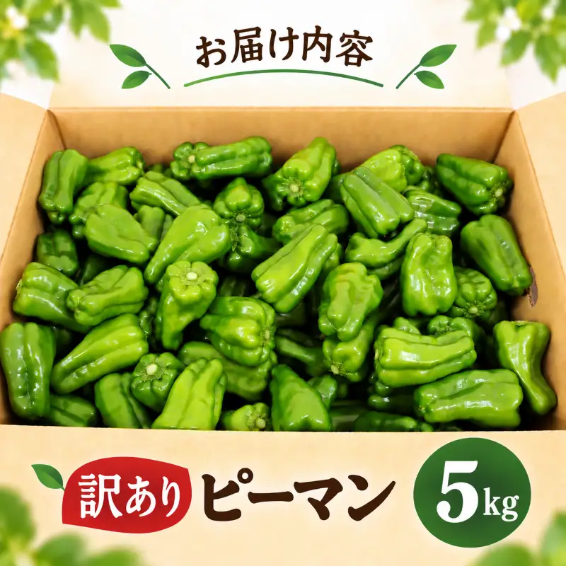 ピーマン 5kg 訳あり 野菜 ぴーまん