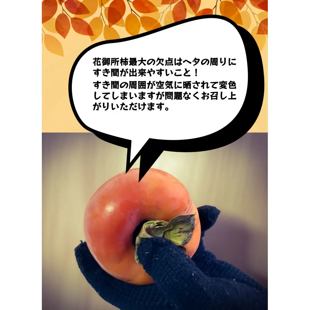 【先行予約】【鳥取市産・良品】花御所柿 約5kg｜甘柿最高クラスの糖度 追熟でとろける食感 和製マンゴーとも称される希少ブランド柿