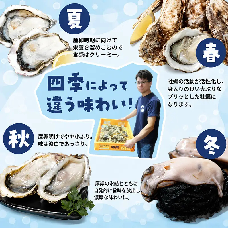 牡蠣 冷凍 むき身 訳あり 生食 北海道厚岸町産 大容量  200g×1パック 解凍してすぐ生食・加熱両用 カキ かき 魚介類 （マルユウ海楽）