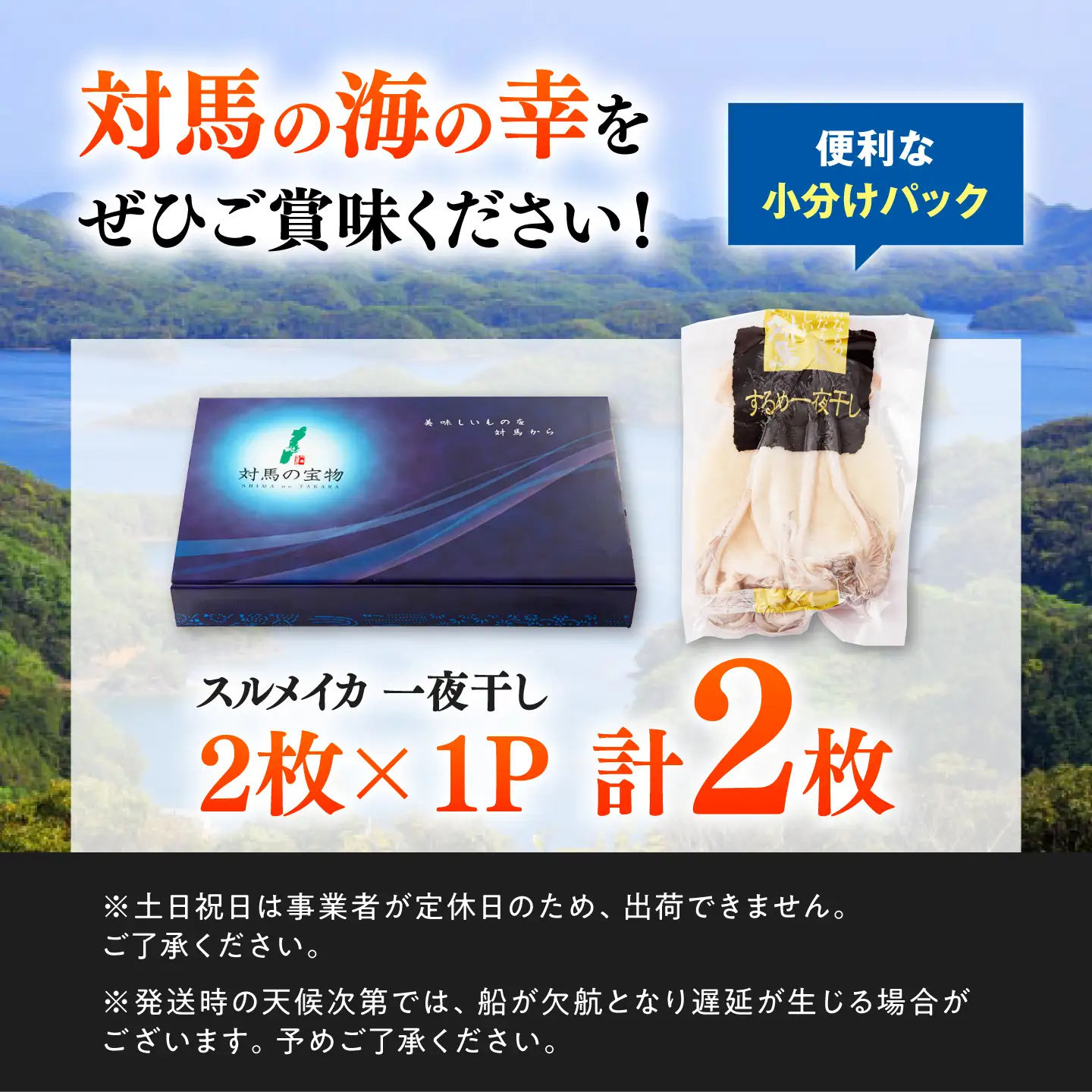 するめいか 一夜干し 2枚×1 《対馬市》【対馬地域商社】九州 長崎 海鮮[WAC063]