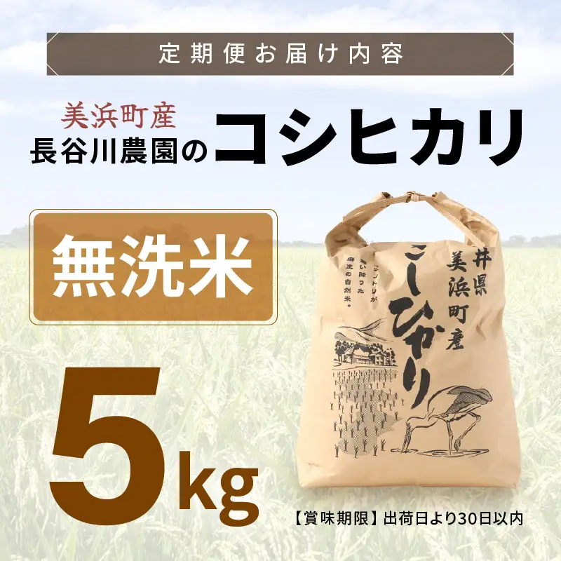 【無洗米】5kg コシヒカリ 令和8年産 無洗米【長谷川農園】 [m22-a011]