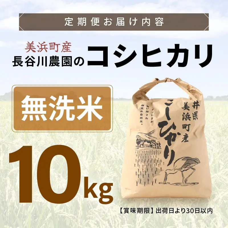 【無洗米】10kg コシヒカリ 令和8年産 無洗米【長谷川農園】 [m22-b004]