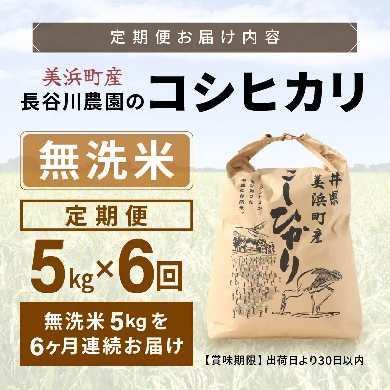 【無洗米】定期便 ≪6ヶ月連続お届け≫コシヒカリ 令和8年産 無洗米 5kg × 6回 (計30kg) 【長谷川農園】 [m22-g003]