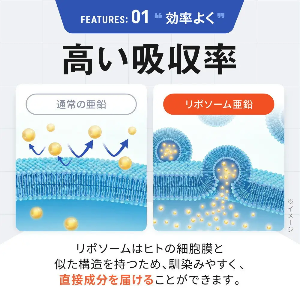 ミネラルベース 亜鉛 サプリ リポソーム ミネラル ビタミンC クエン酸 サプリメント 2袋