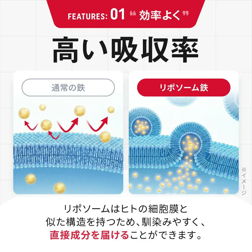 ミネラルベース 鉄 サプリ リポソーム ミネラル 栄養機能食品 鉄分 ビタミンC クエン酸 葉酸 サプリメント 2袋