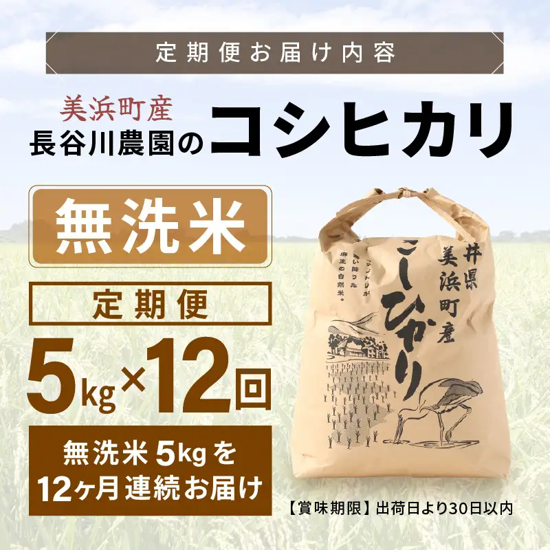 【無洗米】定期便 ≪12ヶ月連続お届け≫コシヒカリ 令和8年産 無洗米 5kg × 12回 (計60kg) 【長谷川農園】 [m22-l003]
