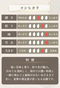 【定期便6回】コシヒカリ 5kg（5kg×1）令和8年産[095-t06-a529] 