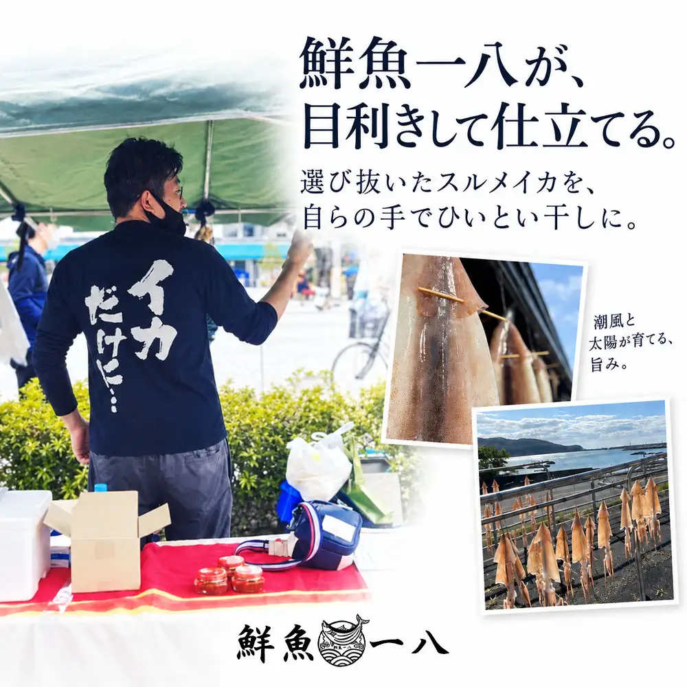 スルメイカの一夜干し 3枚 するめいか【R01783】
