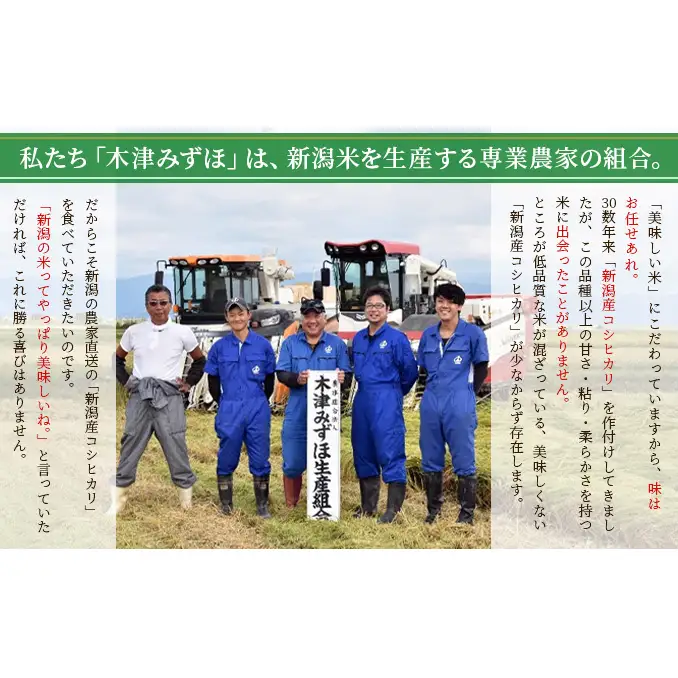 令和8年産 新潟産コシヒカリ10kg　真空パック（6か月定期配送）