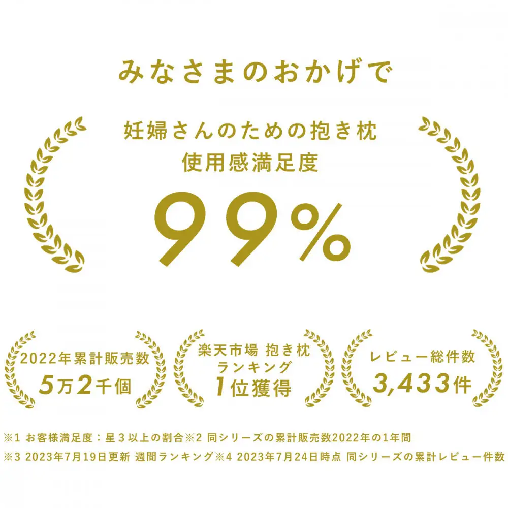 4208-8888-37■サンデシカ 洗える抱きまくら 妊婦 マタニティ 授乳クッション 追加の綿付き ラージ パイルペールグレー