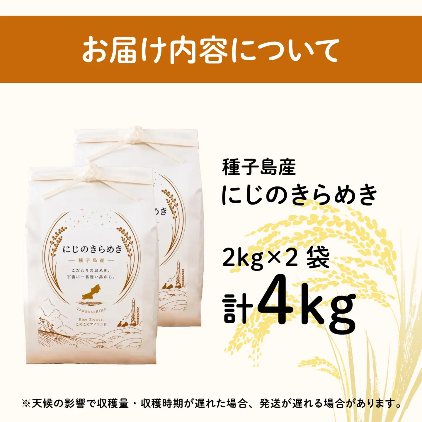 令和8年産 新米 にじのきらめき 4kg  お米 こめ コメ 精米 白米 南種子町 鹿児島 かごしま 【株式会社こめこめアイランド】