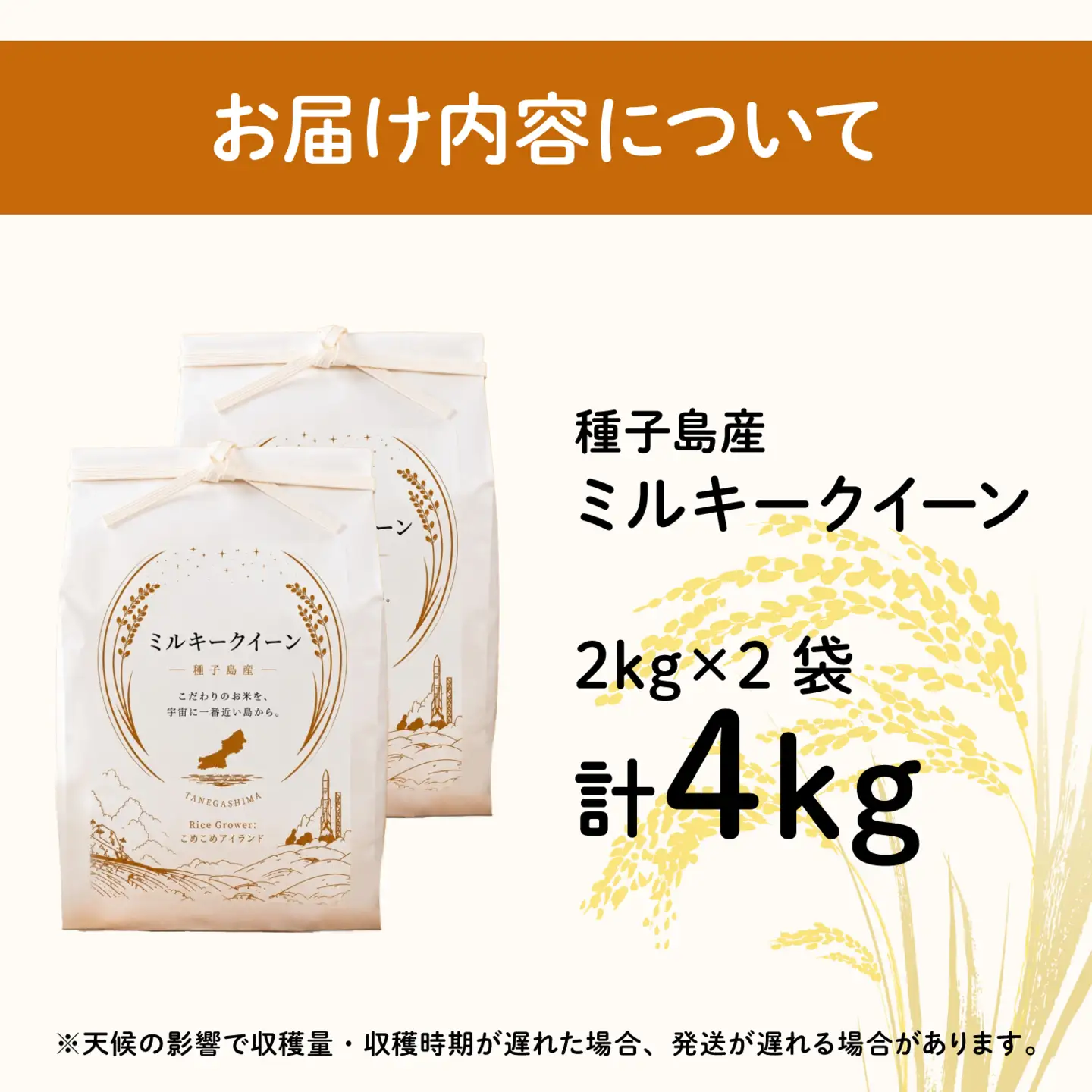令和8年産 新米 ミルキークイーン 4kg  お米 こめ コメ 精米 白米 南種子町 鹿児島 かごしま 【株式会社こめこめアイランド】