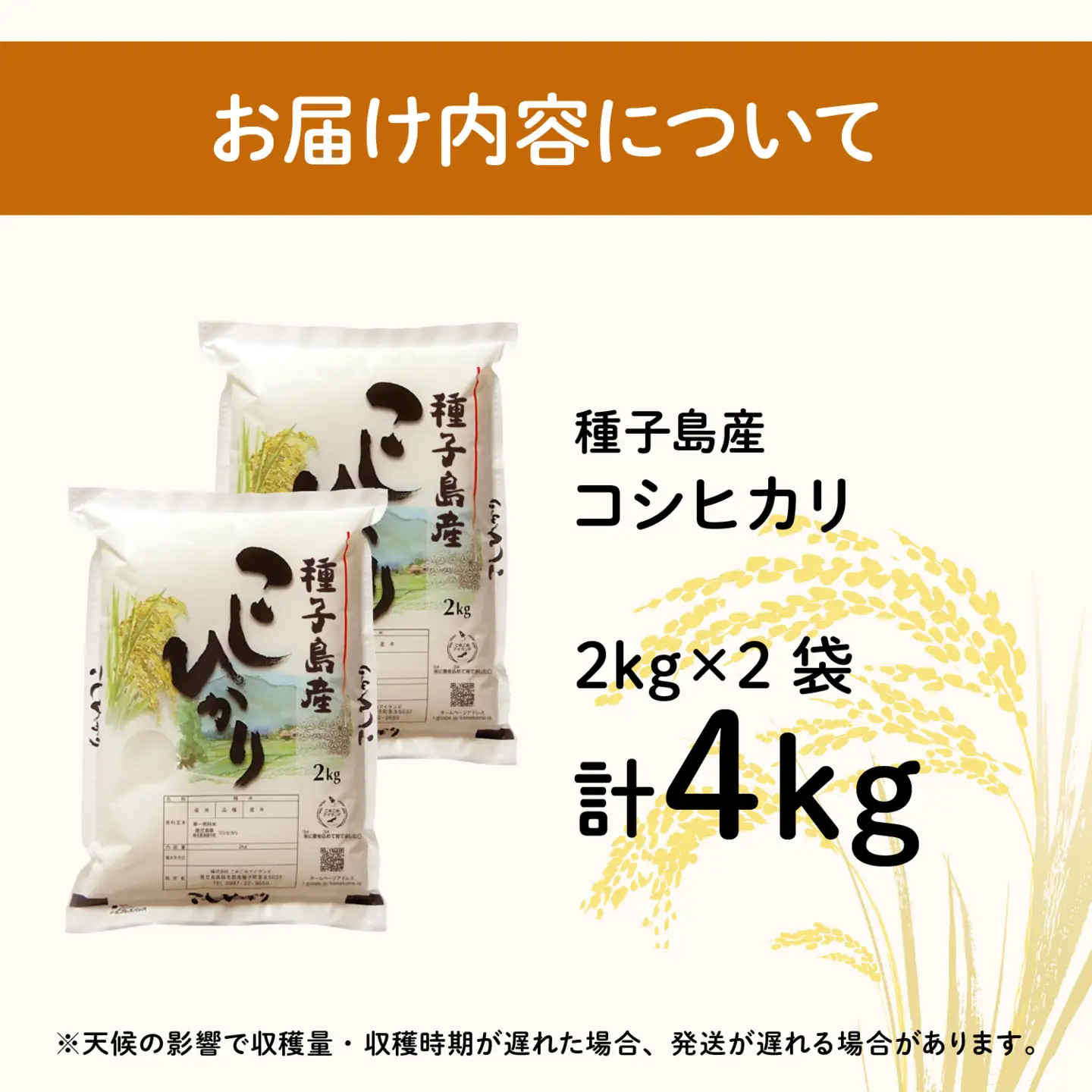 令和8年産 新米 コシヒカリ 4kg  お米 こめ コメ 精米 白米 南種子町 鹿児島 かごしま 【株式会社こめこめアイランド】