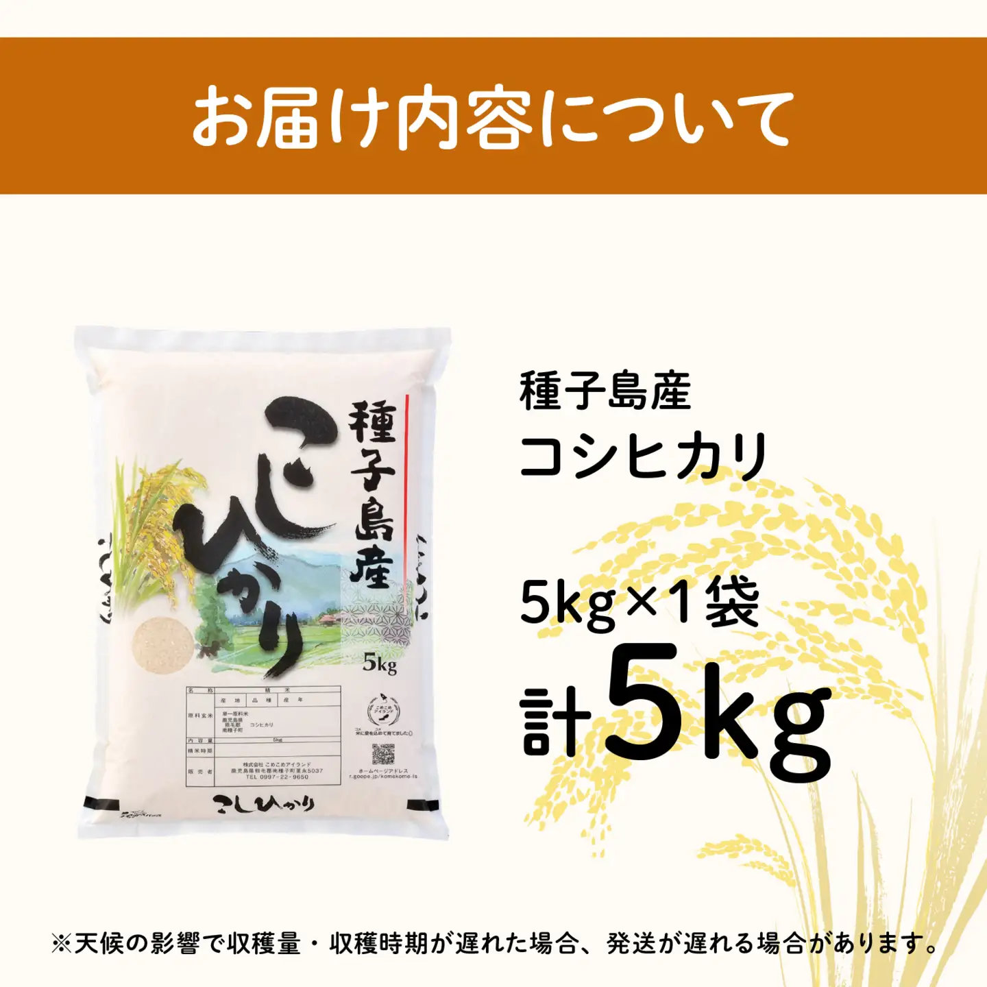 令和8年産 新米 コシヒカリ 5kg  お米 こめ コメ 精米 白米 南種子町 鹿児島 かごしま 【株式会社こめこめアイランド】