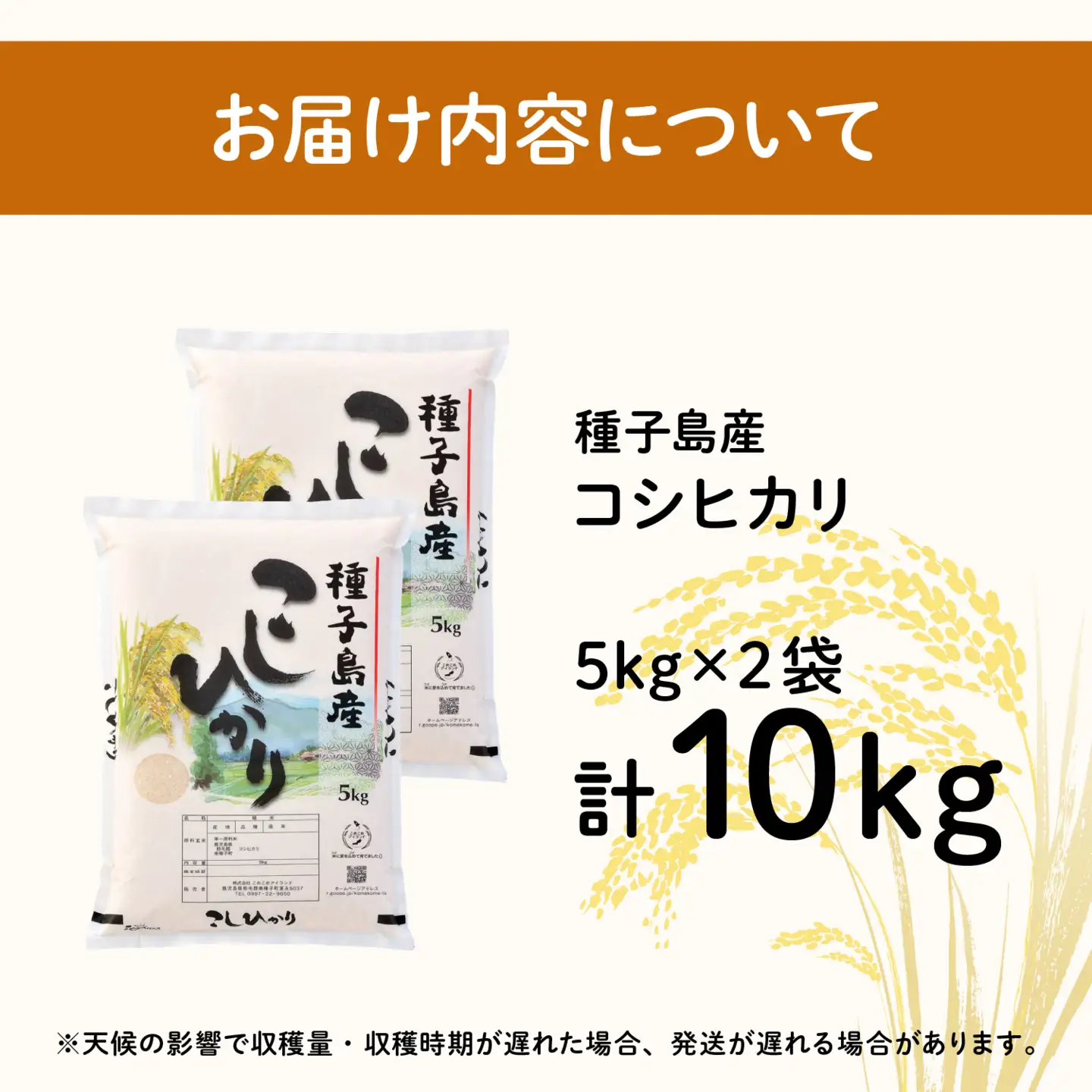 令和8年産 新米 コシヒカリ 10kg  お米 こめ コメ 精米 白米 南種子町 鹿児島 かごしま 【株式会社こめこめアイランド】