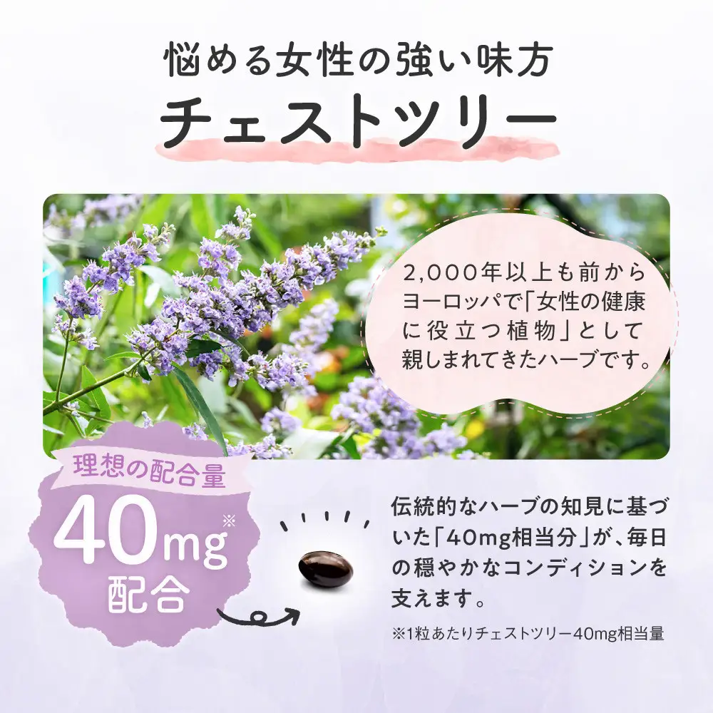 チェストツリー サプリメント ルミエル 2袋 女性特有のライフサイクルをサポートする栄養機能食品（鉄・葉酸）