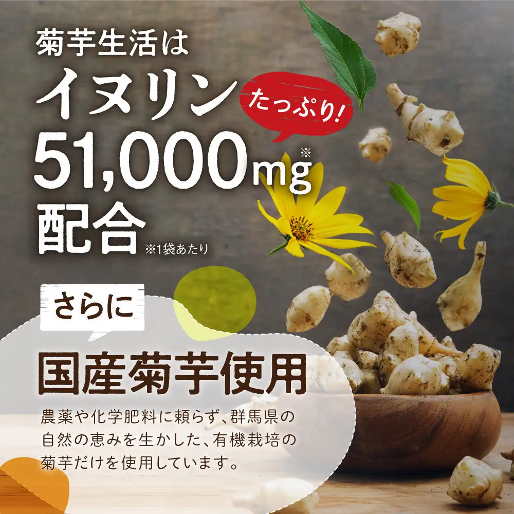 菊芋サプリメント 菊芋生活 1袋 国産 イヌリン 食物繊維 サラシア 難消化性デキストリン 240粒入り 30日分