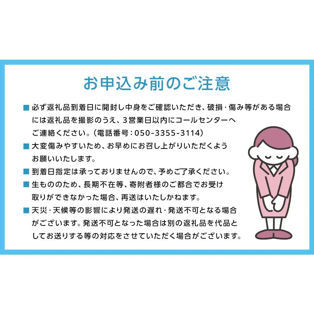 【2027年先行予約】 家庭用 白桃 匠の白桃  約2.4kg（7～9玉） 岡山県 一宮産  数量限定 ～旬の美味しさ 犬塚農園からお届け～
