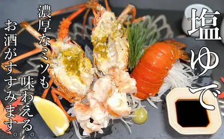 【 伊勢海老 】 天然 伊勢海老 7kg いせえび