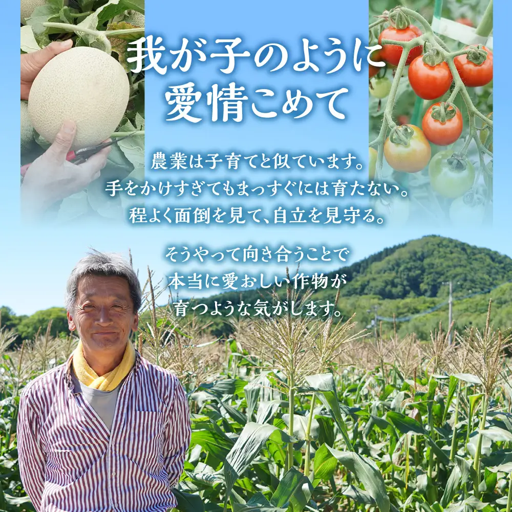 野口農園ななつぼし10kg【3ヶ月定期便】｜お米 北海道産 産地直送 ブランド米 国産 精米 白米 米 