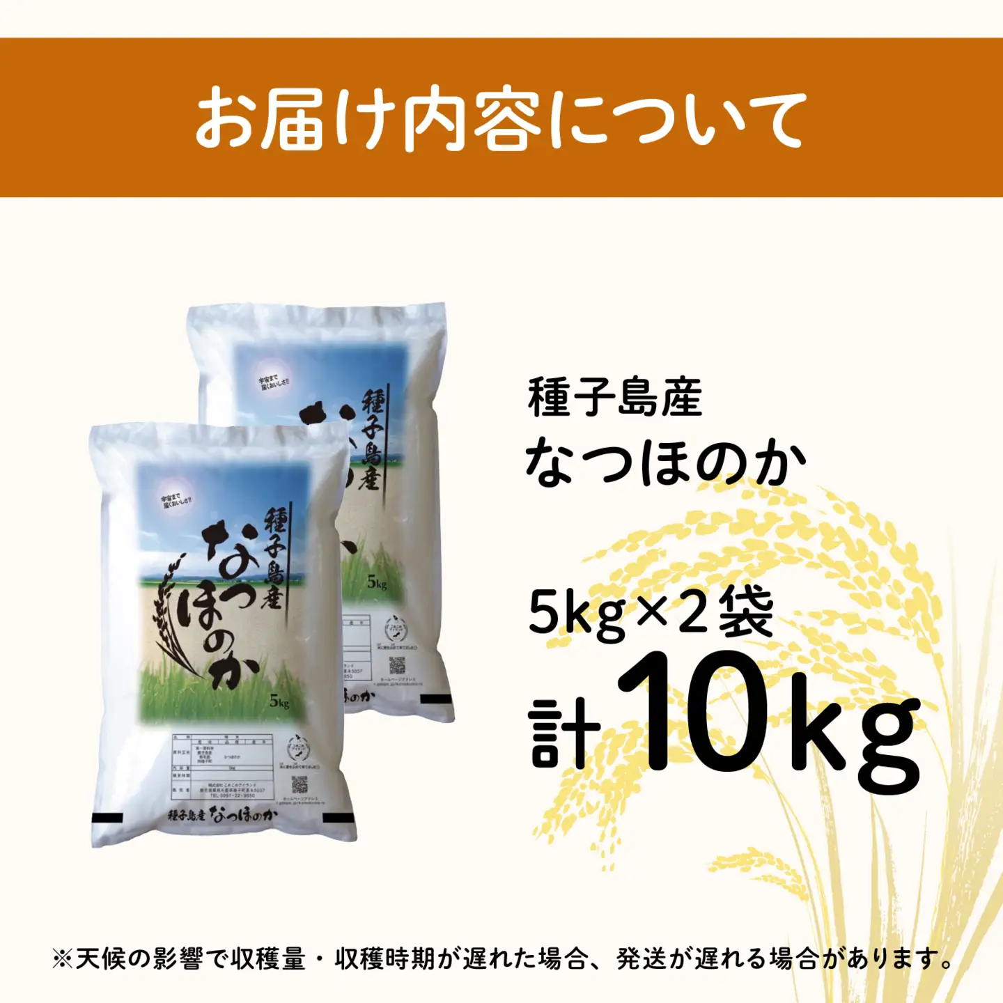 令和8年産 新米 なつほのか 10kg  お米 こめ コメ 精米 白米 南種子町 鹿児島 かごしま 【株式会社こめこめアイランド】