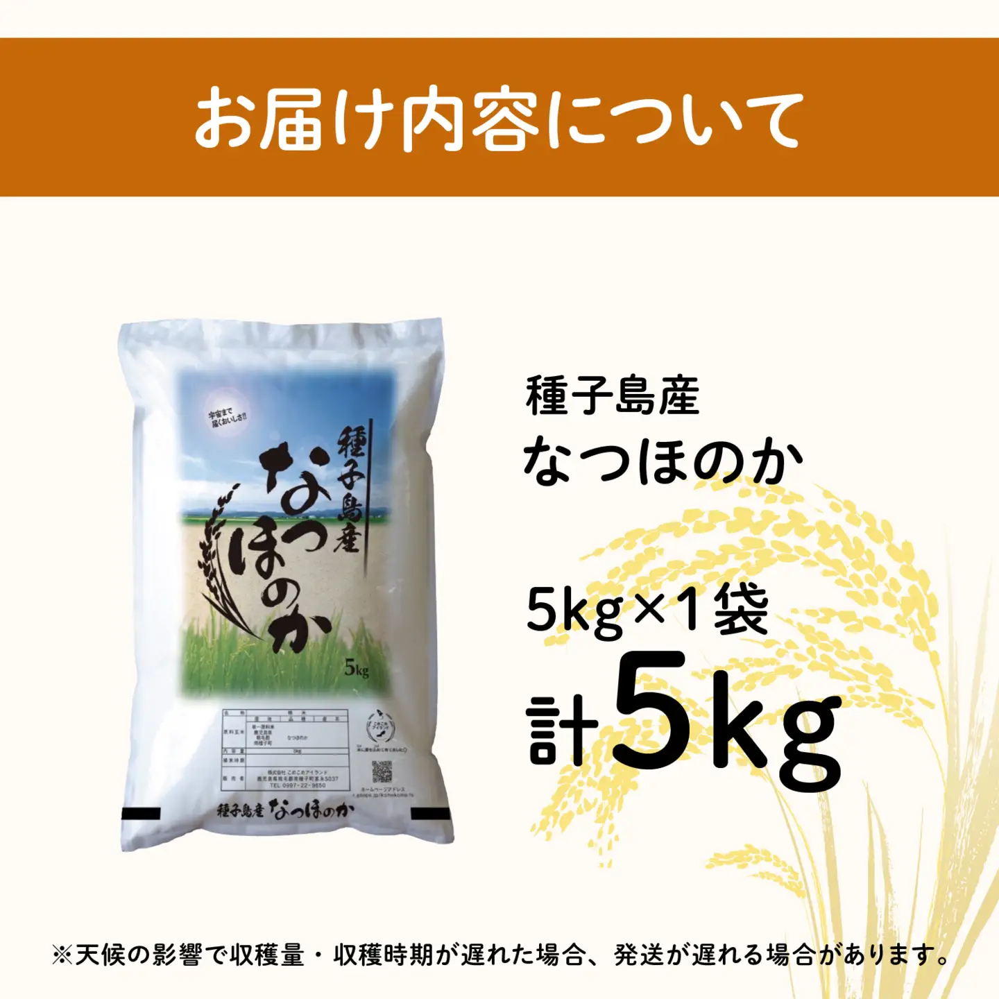 令和8年産 新米 なつほのか 5kg  お米 こめ コメ 精米 白米 南種子町 鹿児島 かごしま 【株式会社こめこめアイランド】