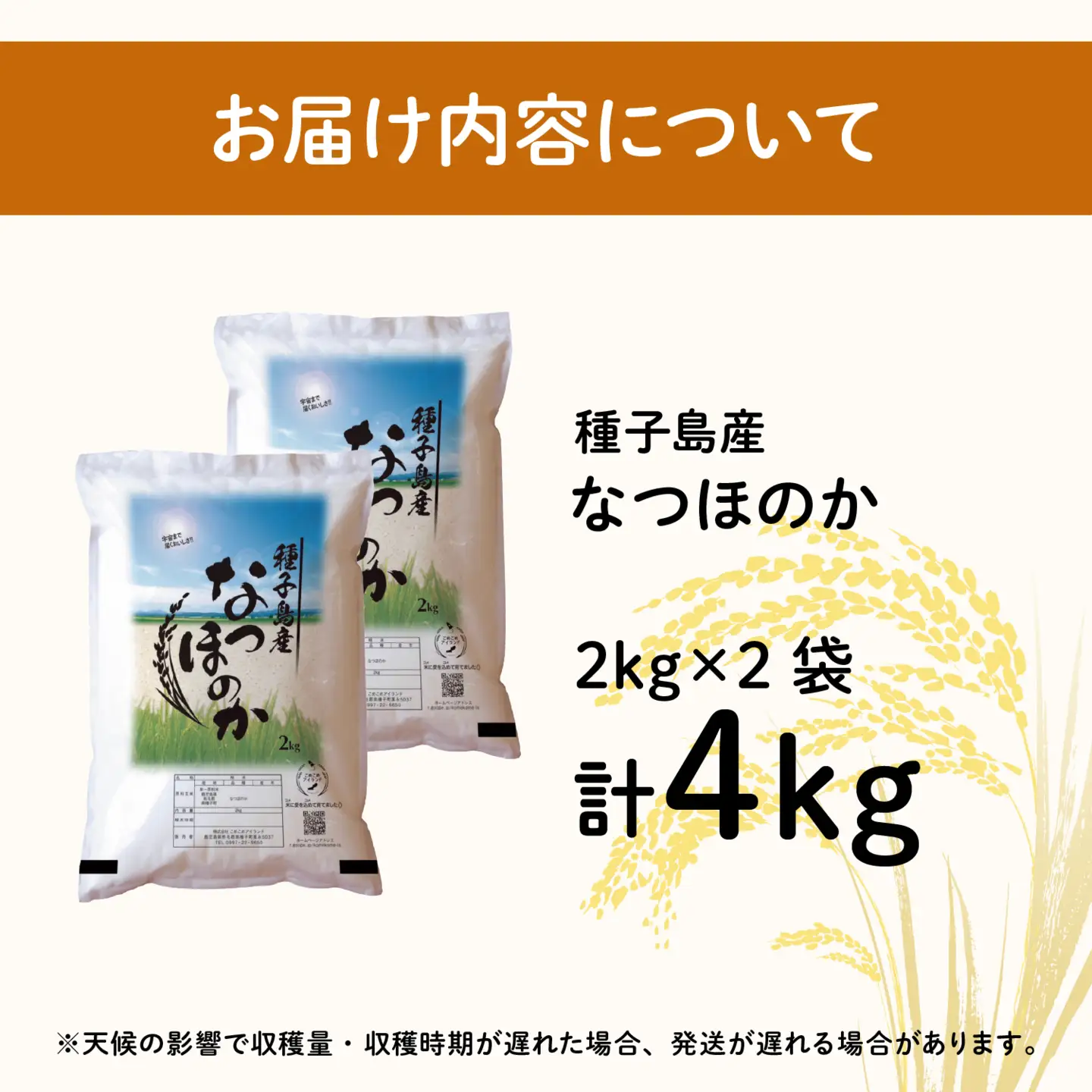 令和8年産 新米 なつほのか 4kg  お米 こめ コメ 精米 白米 南種子町 鹿児島 かごしま 【株式会社こめこめアイランド】