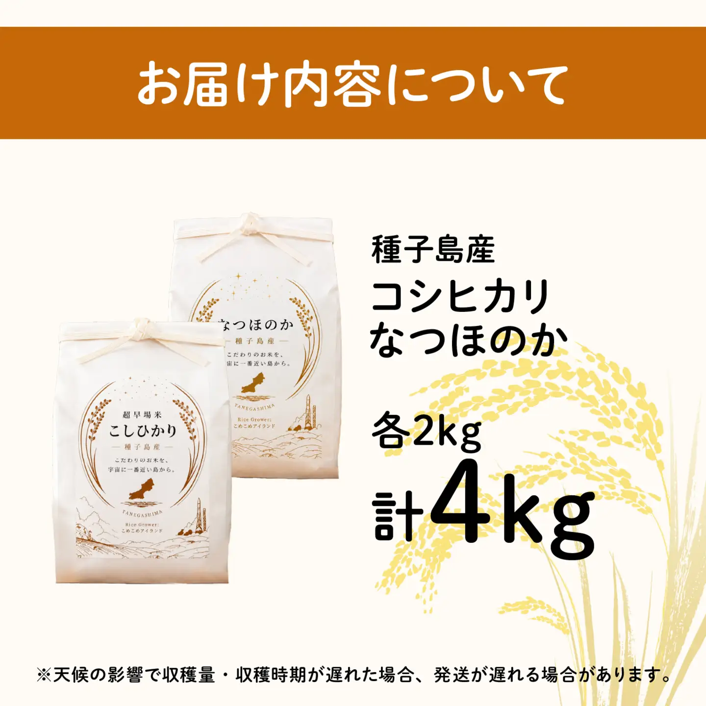 令和8年産 新米 コシヒカリ なつほのか 食べ比べセット 計4kg（各2kg） お米 こめ コメ 精米 白米 南種子町 鹿児島 かごしま【株式会社こめこめアイランド】