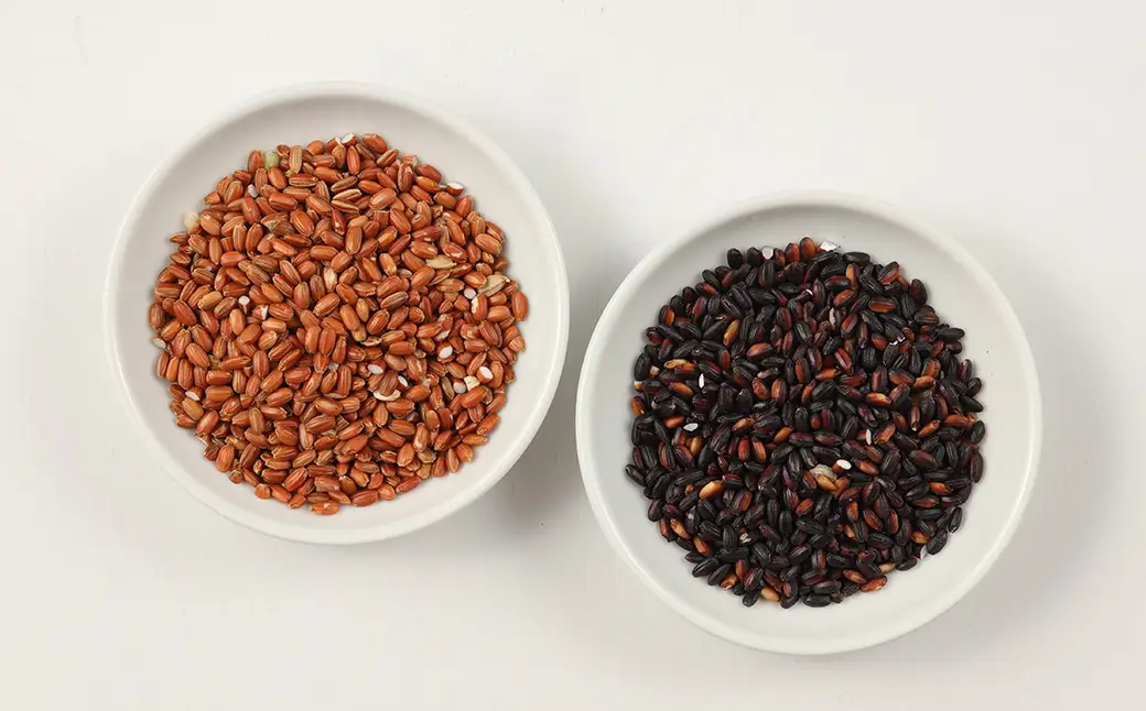 【白米に混ぜるだけ】縄文米・ 赤米・ 黒米 （各100g×3種セット）（しだれ桜とナリエの里 四美）【南ひだヘルスファーム】【129-4】