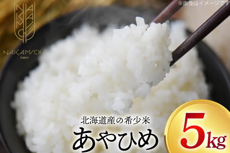 【期間限定発送】 米 令和8年産 あやひめ 5kg