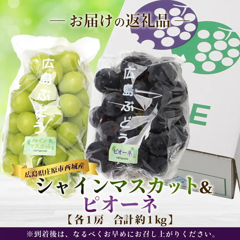【先行受付 2027年発送】シャインマスカット&ピオーネ2房セット（合計1kg） OV-3