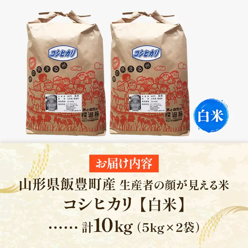 生産者の顔が見える米 コシヒカリ 白米 10kg（飯豊町産）（R8年産） - おこめ ごはん 単一米 ブランド米 マルシチ米穀 山形県 飯豊町