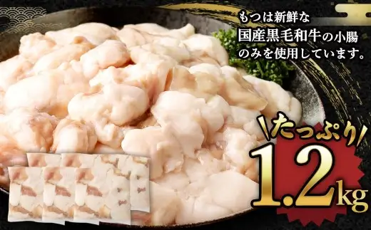 【2026年12月発送】国産牛 もつ鍋 12人前 ちゃんぽん 濃縮スープ付 （醤油味） 冷凍 国産 もつ もつ鍋セット