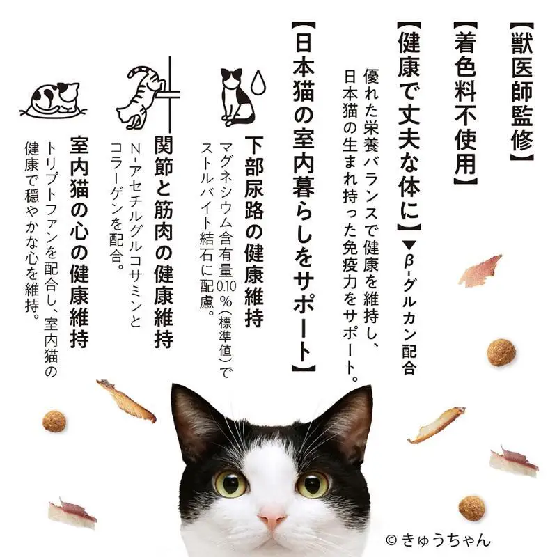 ラシーネ 日本猫 11歳以上 560g ケース販売 ペットフード 猫 ネコ ねこ キャット ペット 静岡 袋井市