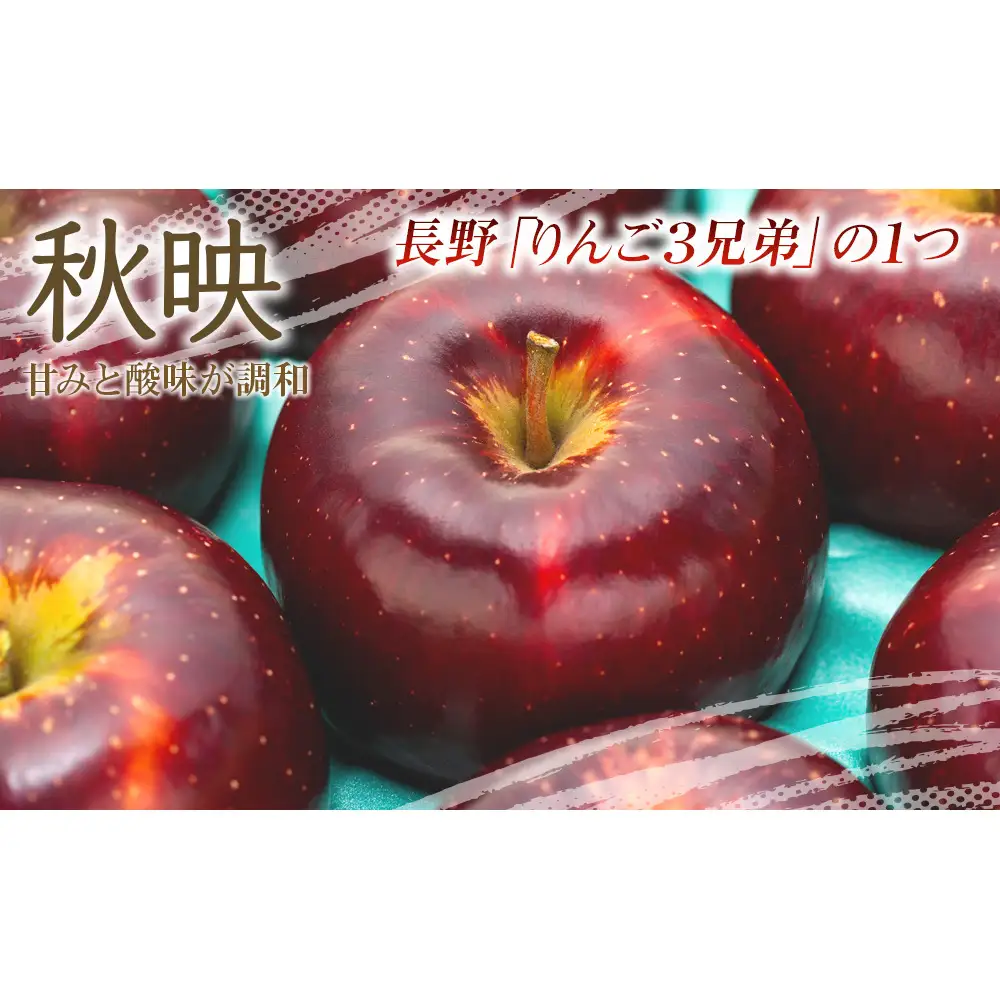 【2026年/令和8年度発送分 】訳あり 信州のりんご 秋映 約 3kg りんご リンゴ 林檎 長野 フルーツ 果物 信州産 長野県産 特産 産地直送 おすすめ
