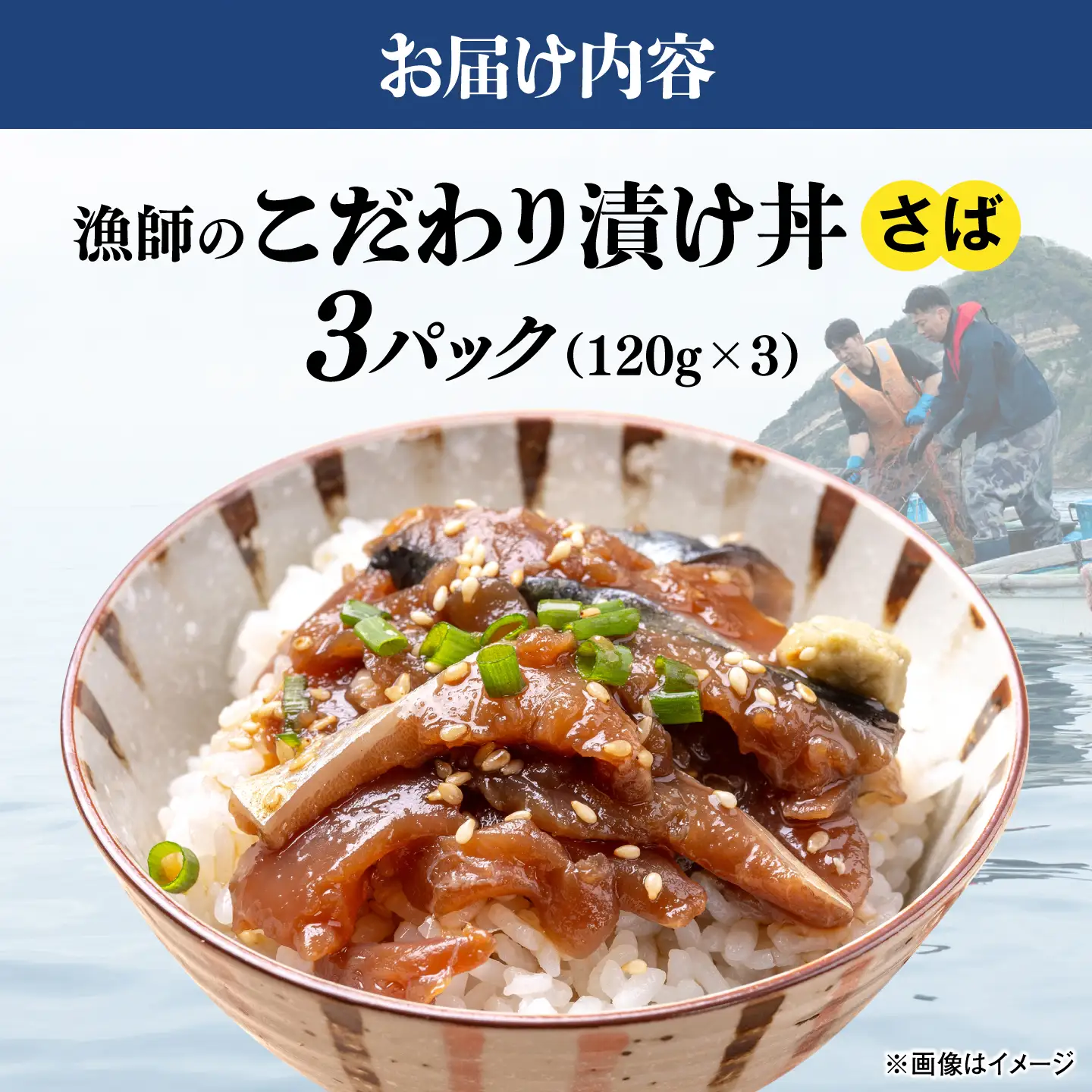 海鮮丼【さば漬け】120g×3食 漁師厳選 海鮮丼[ALFN009]