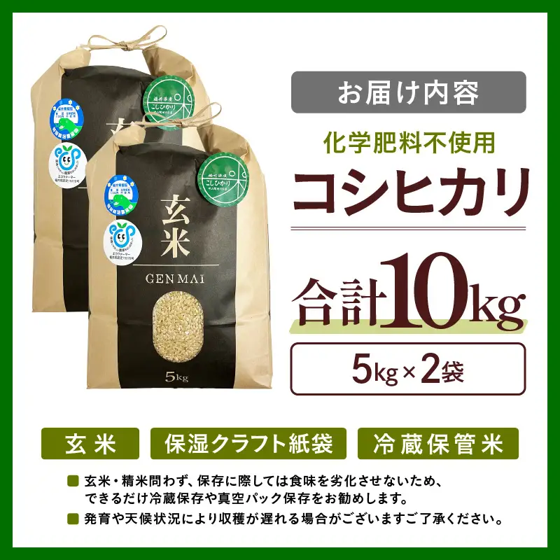 【令和8年産】特別栽培米 コシヒカリ 玄米 10kg 化学肥料不使用 / 米 福井県 あわら市産 美味しい 特別栽培米 減農薬 安心な米 旨味 甘み もっちり 冷蔵保管米 [aw010-a083]