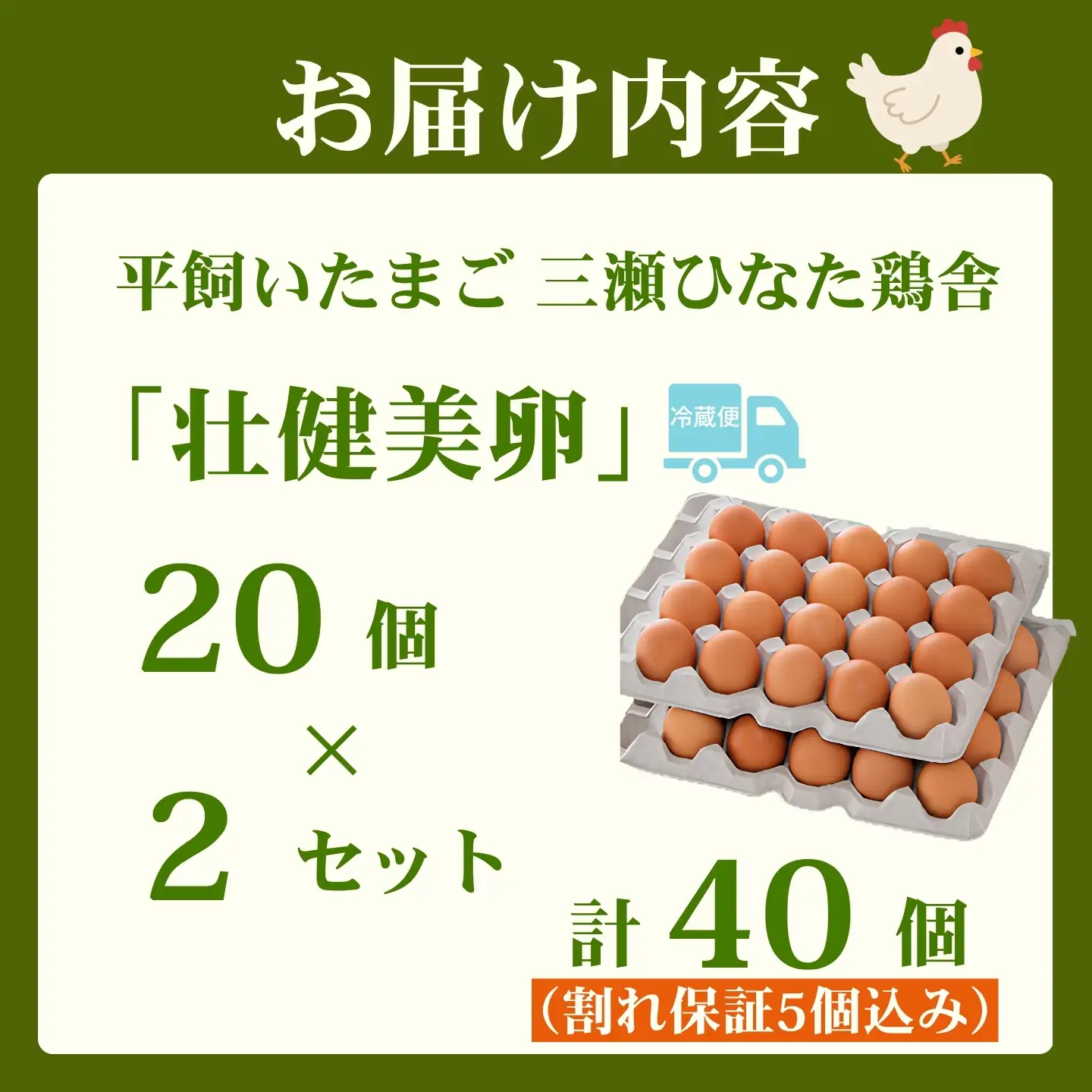 平飼いたまご 三瀬ひなた鶏舎 「壮健美卵」35個＋割れ保証5個（計40個）：B135-026