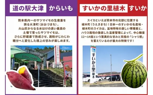 【 年4回定期便 】 旬の時期に旬の美味しいくまもとモンが届く！くまもとぐるっと道の駅定期便 定期便 野菜 やさい 有機野菜 果物 フルーツ 旬 詰め合わせ 詰合せ セット 特産品 特産物