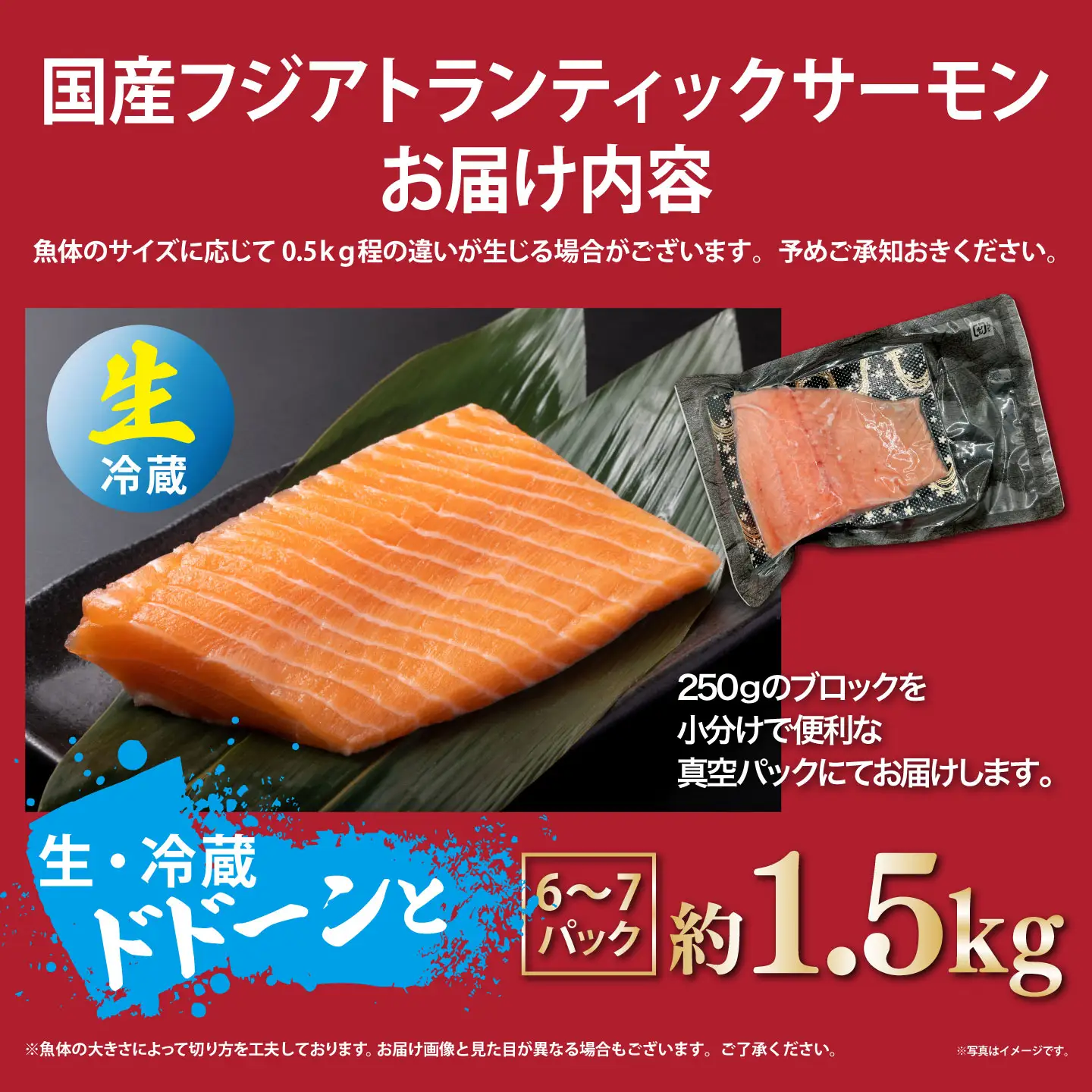 サーモン 約1.5kg 小分け 6～7P 国産サーモン