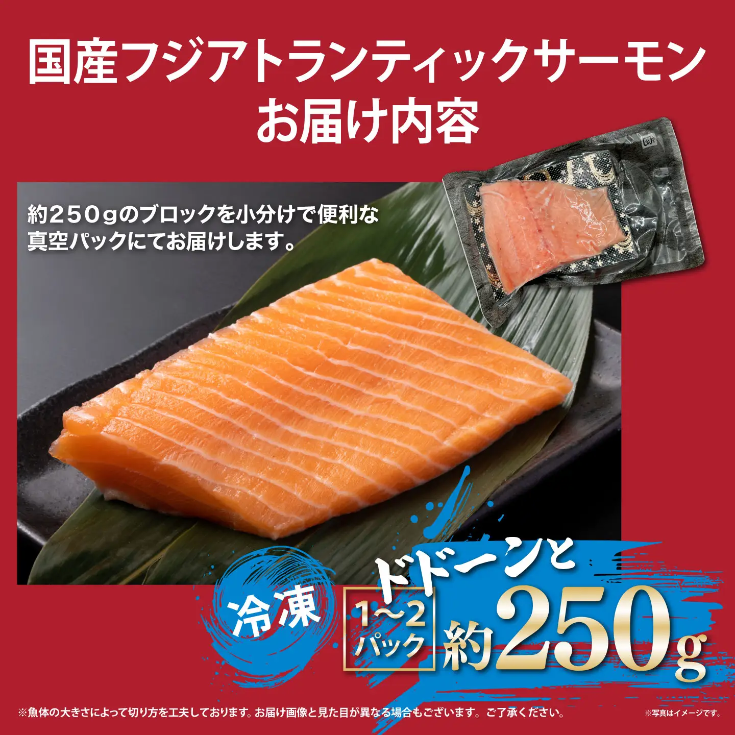 国産サーモン 冷凍 1～2P 約250g サーモン
