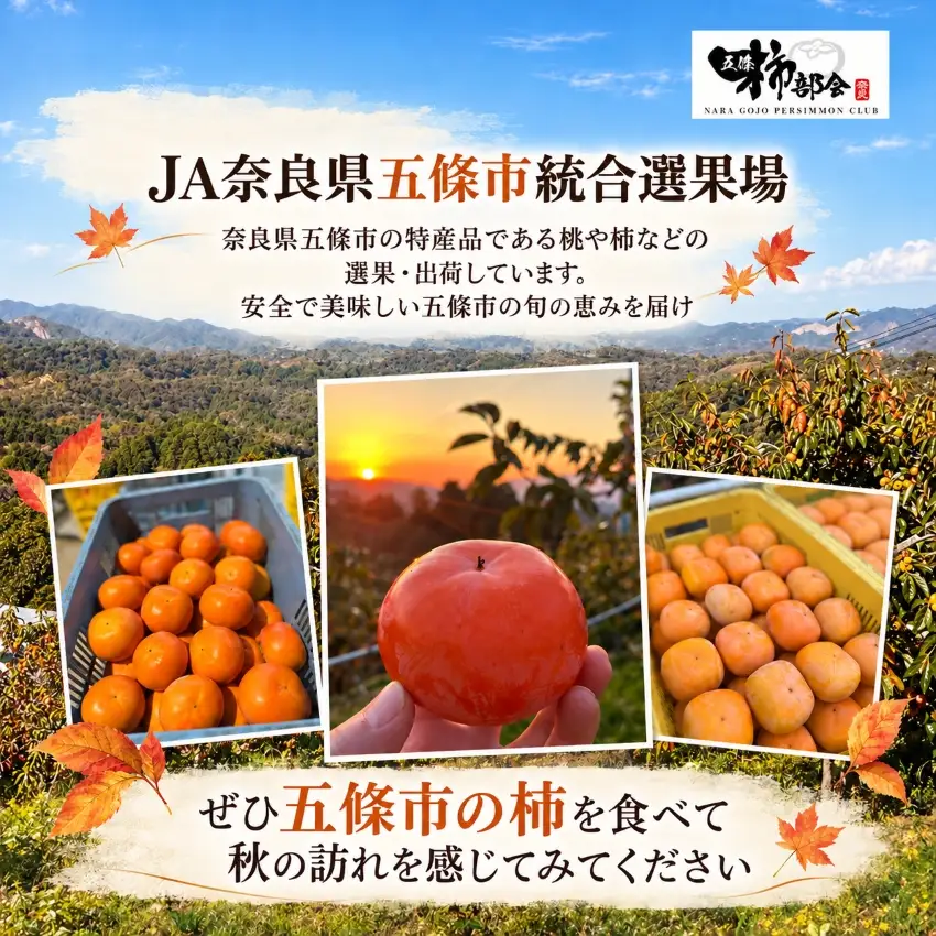 訳あり 富有柿 約10kg(42個～48個) 