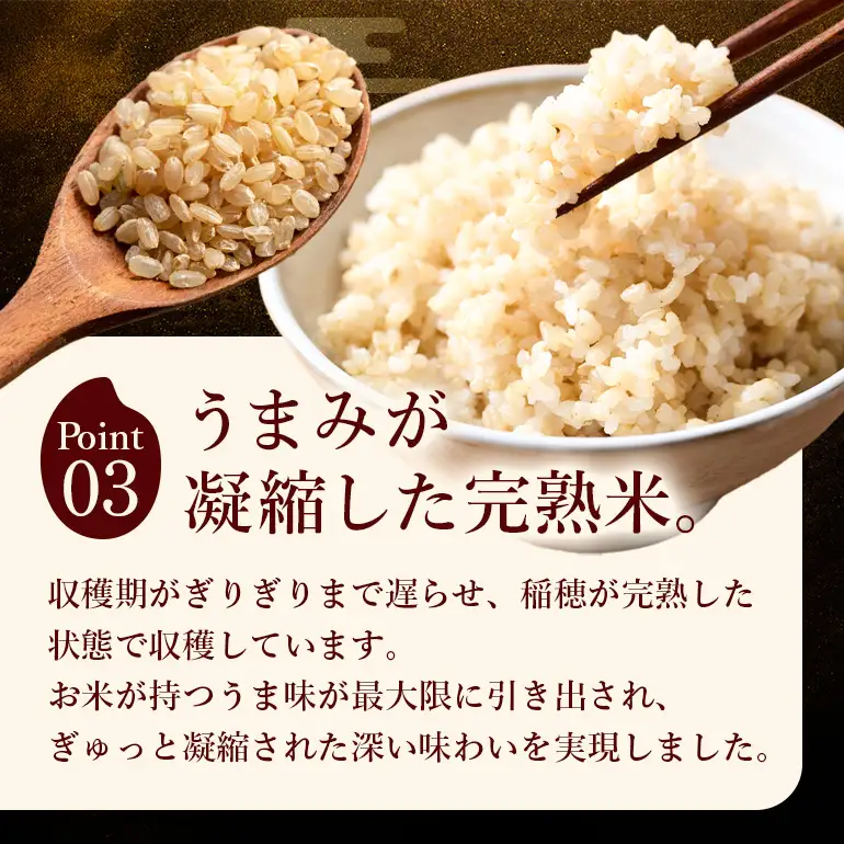 令和8年 新米 玄米 ひのひかり 5kg 6ヶ月定期便 ぶんぶんファーム