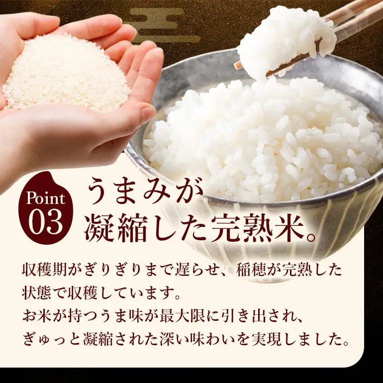 令和8年 新米 白米 ひのひかり 5kg 6ヶ月定期便 ぶんぶんファーム