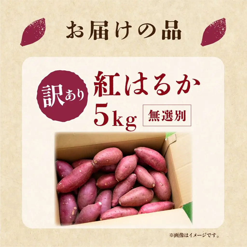 【先行受付】訳あり 紅はるか 無選別 約5kg 栃木県 茂木町