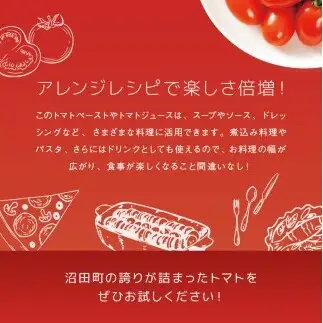 【定期便】プレミアムトマトケチャップ【320g瓶×4本×6ヶ月】（隔月）北海道産 トマト 国産 無添加 濃厚 食べるケチャップ 高級調味料 調味料 加工品 お取り寄せ ギフト プレゼント 贈り物 沼田町 北海道 n-0234