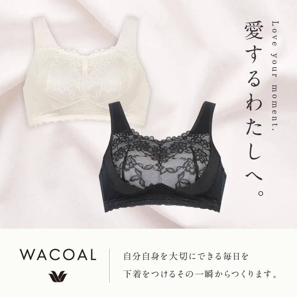 ワコール ナイトアップブラ L(UB-)サイズ BE ナイトブラ 京都