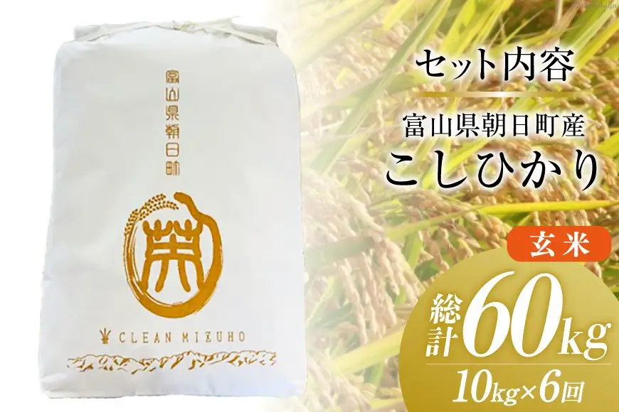 米 令和8年産 こしひかり 玄米 10kg 【6ヶ月定期便】 計60kg